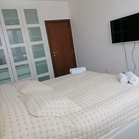 Belvedere Club к403 *
